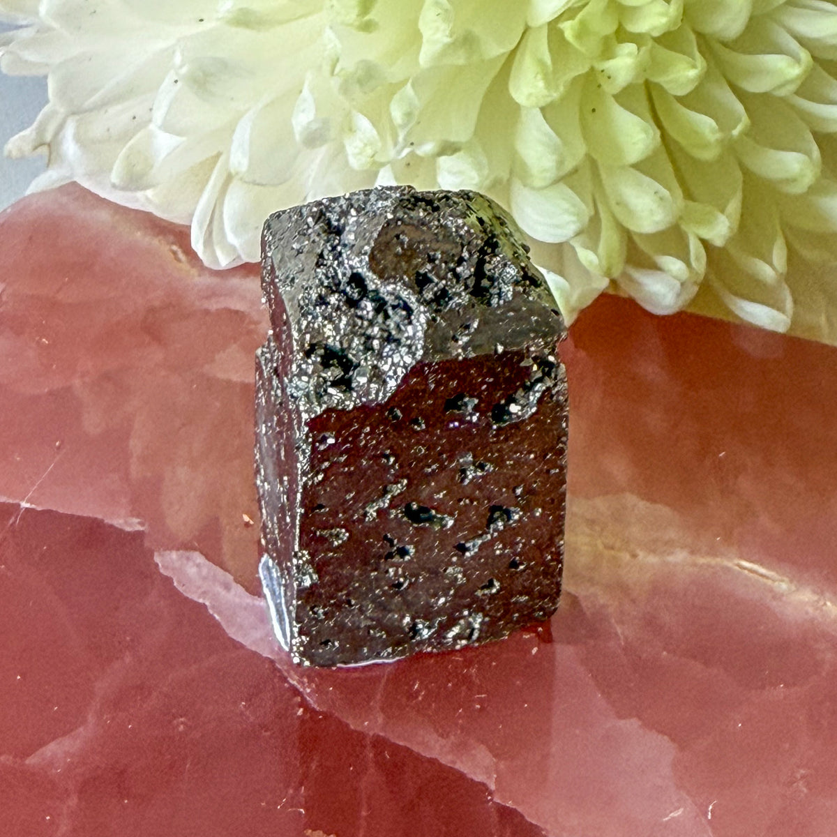 Pyrite Freeform #1258-Happily Zen