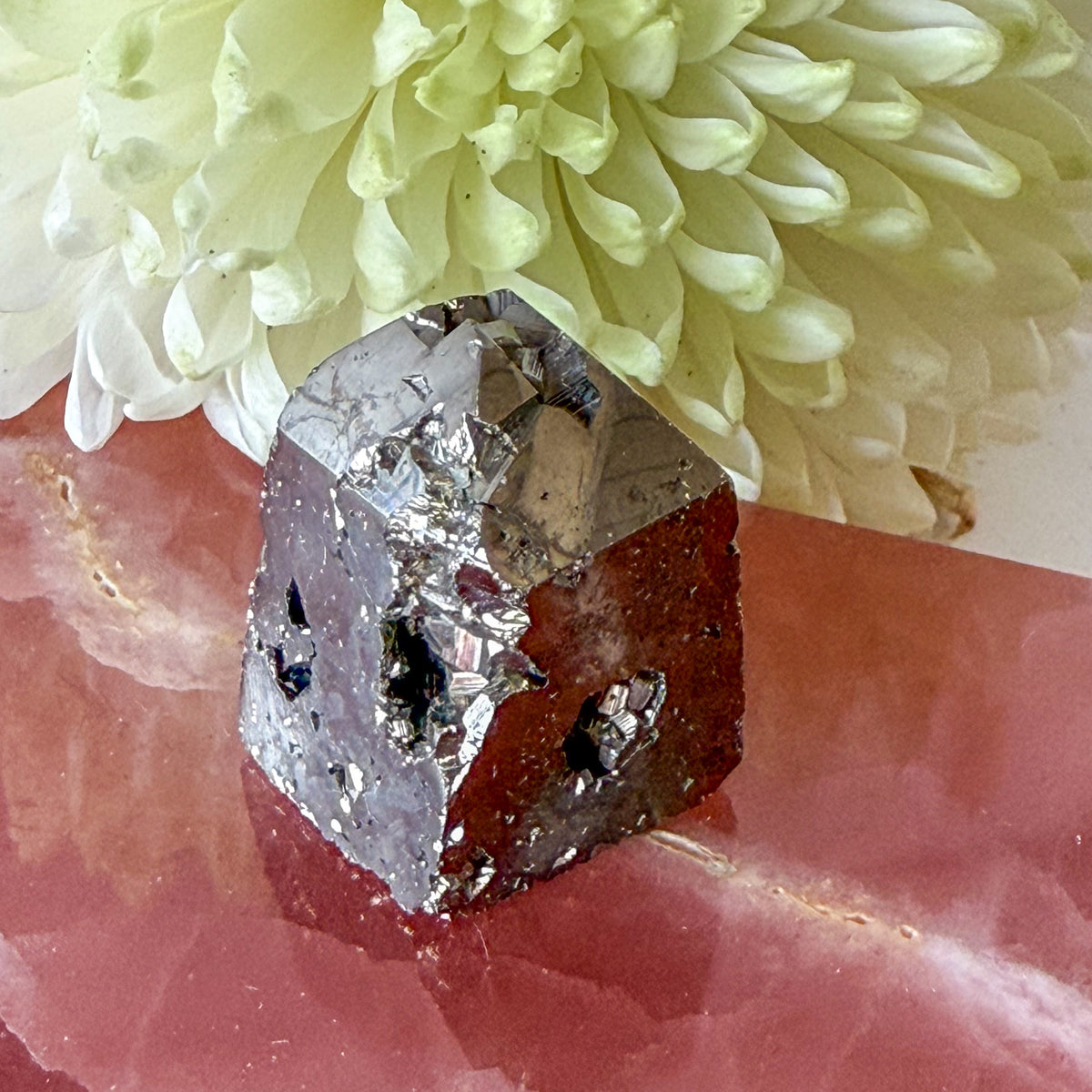 Pyrite Freeform #1259-Happily Zen