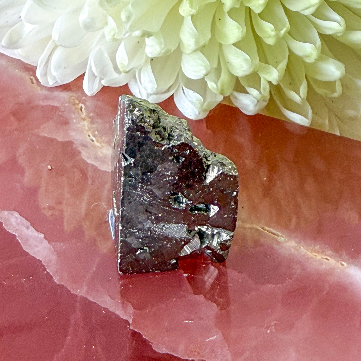 Pyrite Freeform #1263-Happily Zen