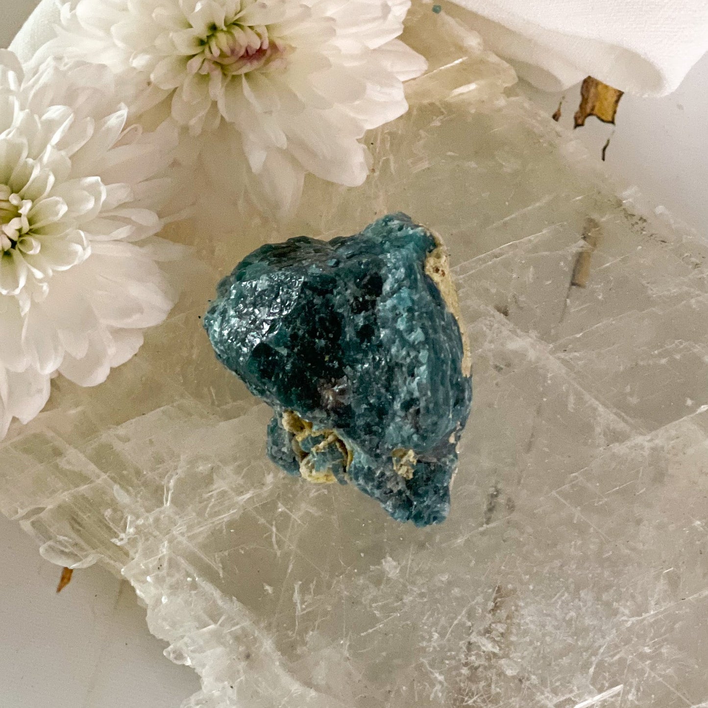 Raw Apatite #434-Happily Zen