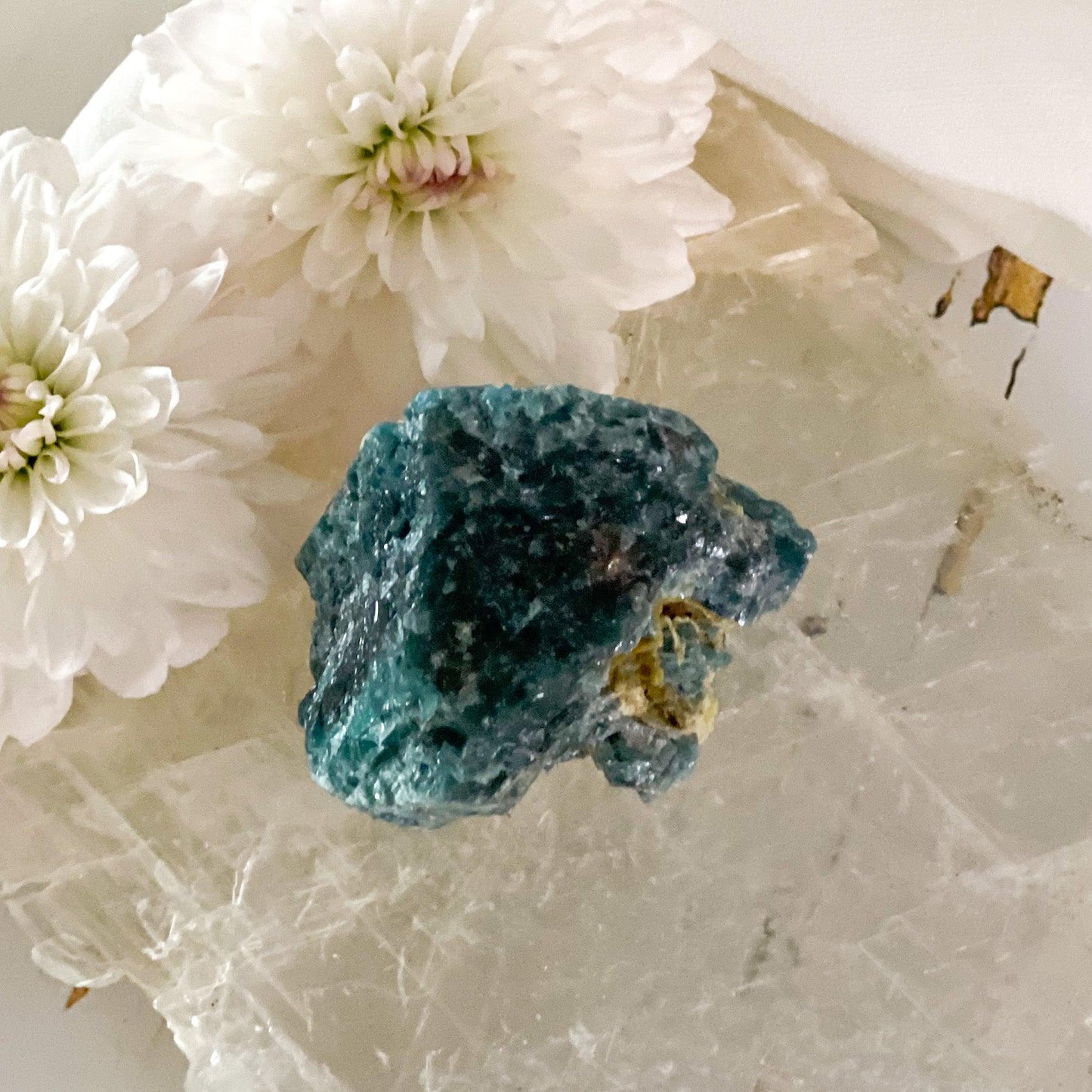 Raw Apatite #434-Happily Zen