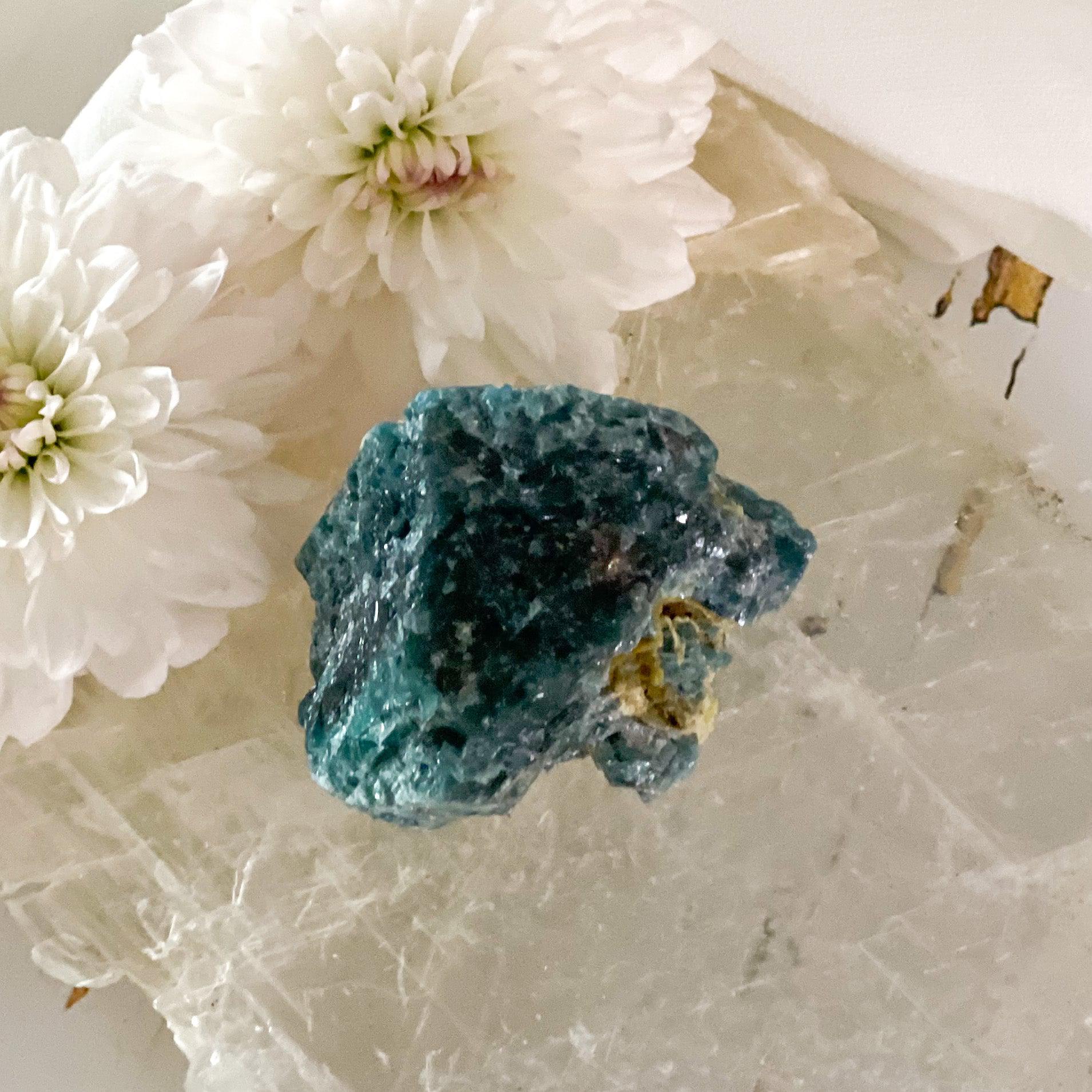 Raw Apatite #434-Happily Zen