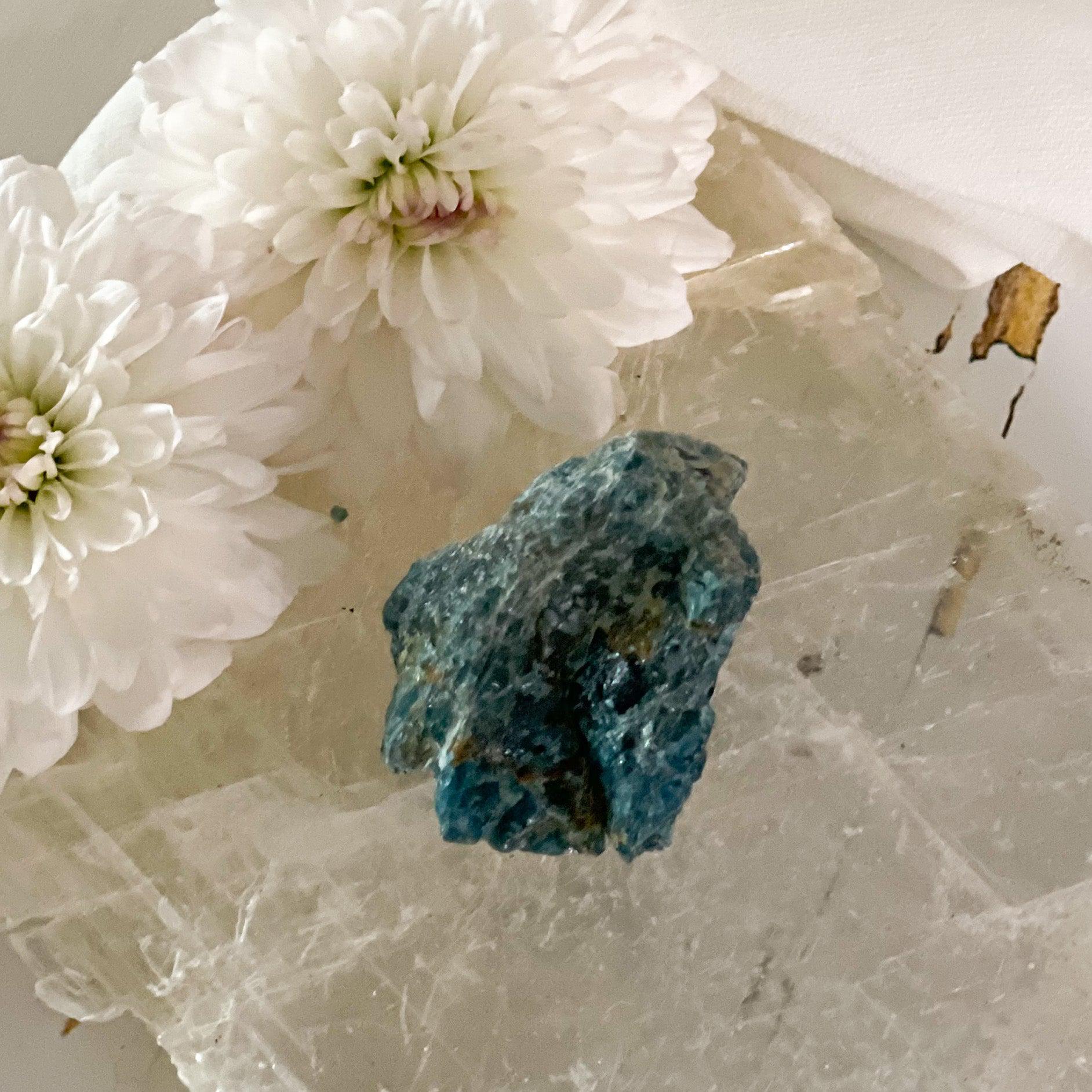 Raw Apatite #436-Happily Zen