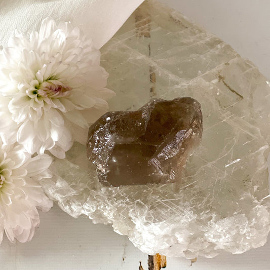 Raw Smokey Quartz #343-Happily Zen