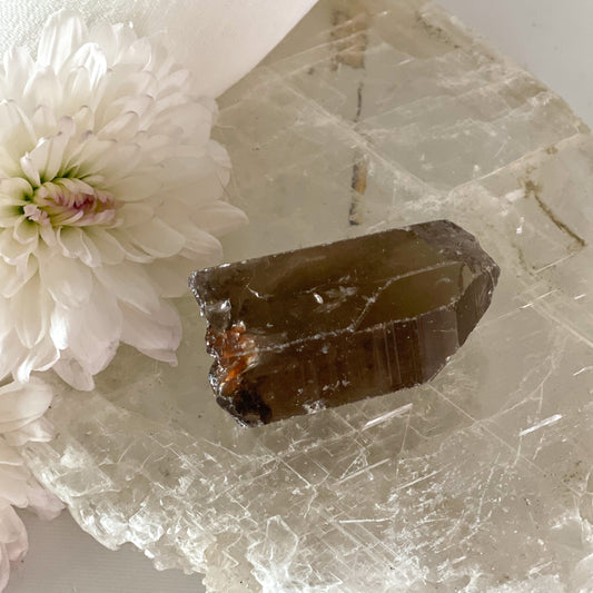 Raw Smokey Quartz #344-Happily Zen