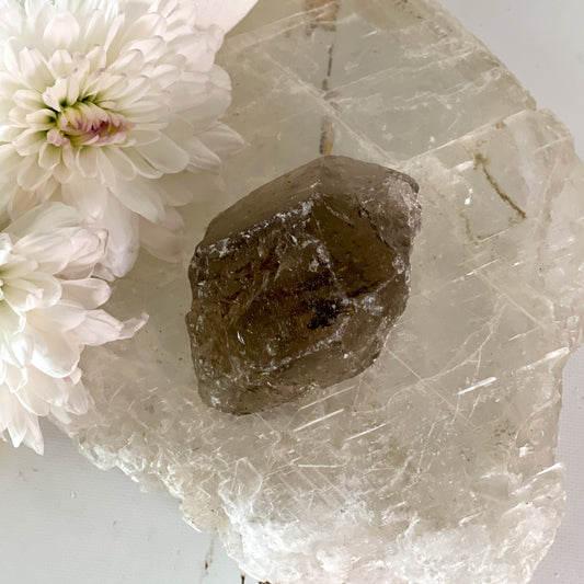 Raw Smokey Quartz #346-Happily Zen