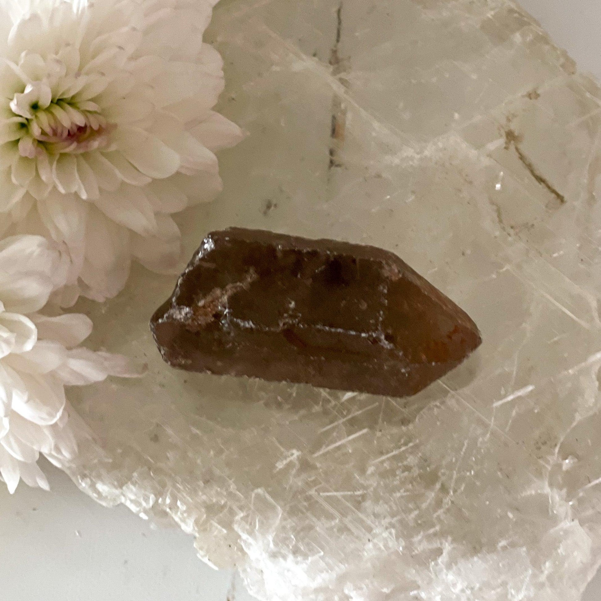 Raw Smokey Quartz #348-Happily Zen