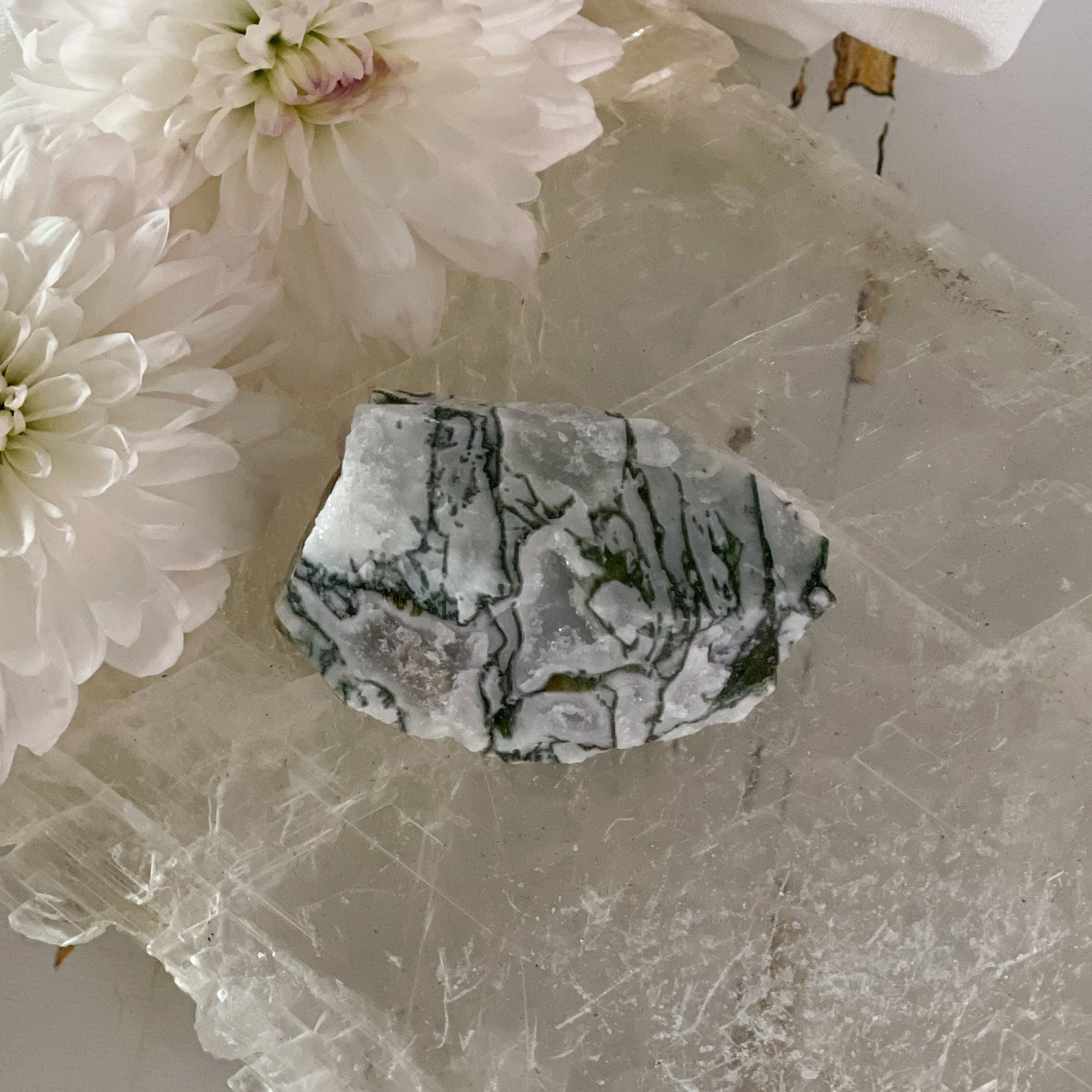 Raw Tree Agate #397-Happily Zen