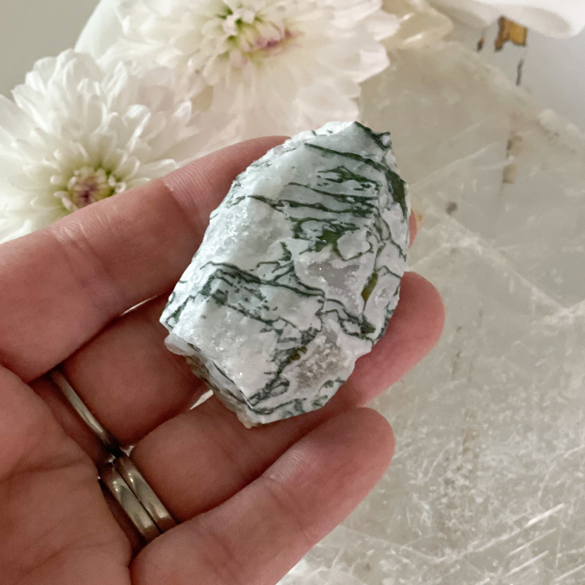 Raw Tree Agate #397-Happily Zen