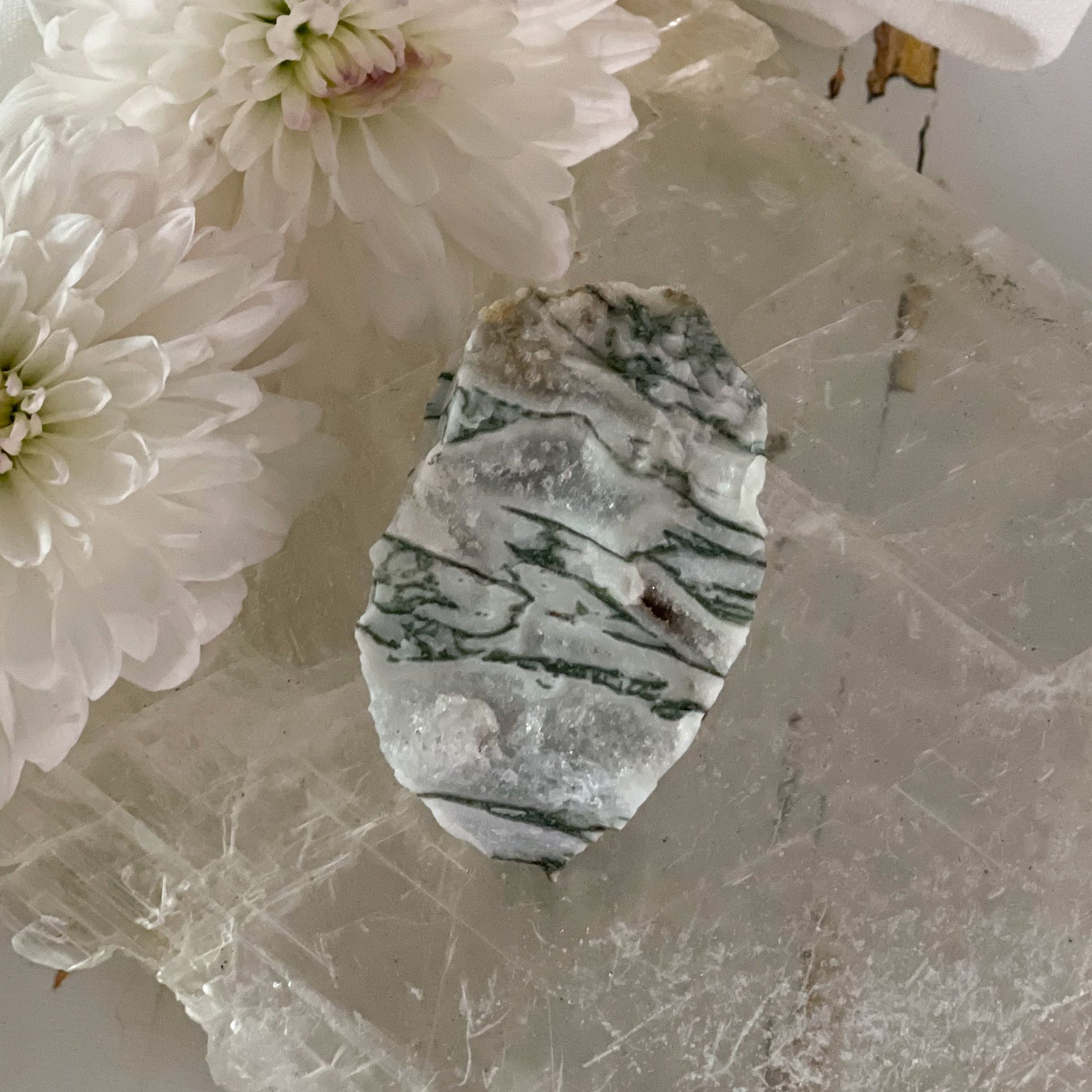 Raw Tree Agate #397-Happily Zen