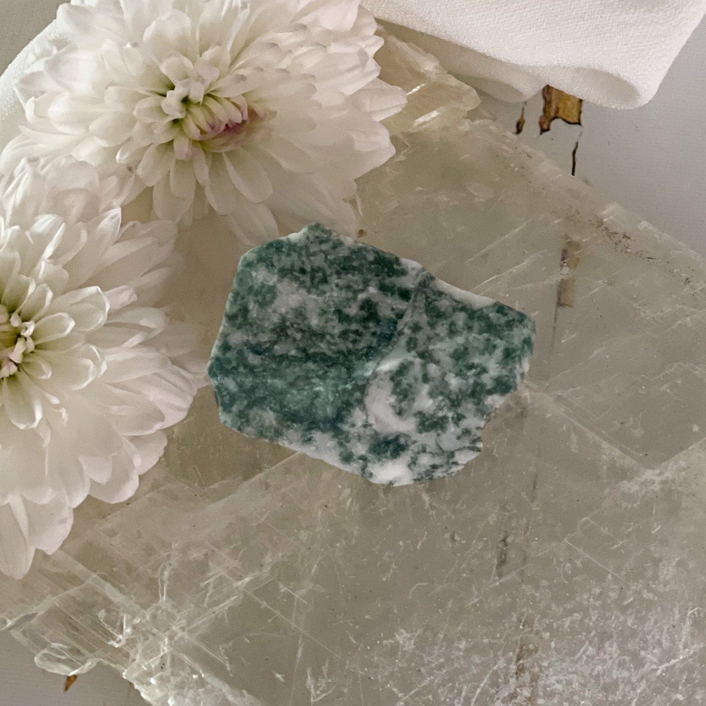 Raw Tree Agate #398-Happily Zen