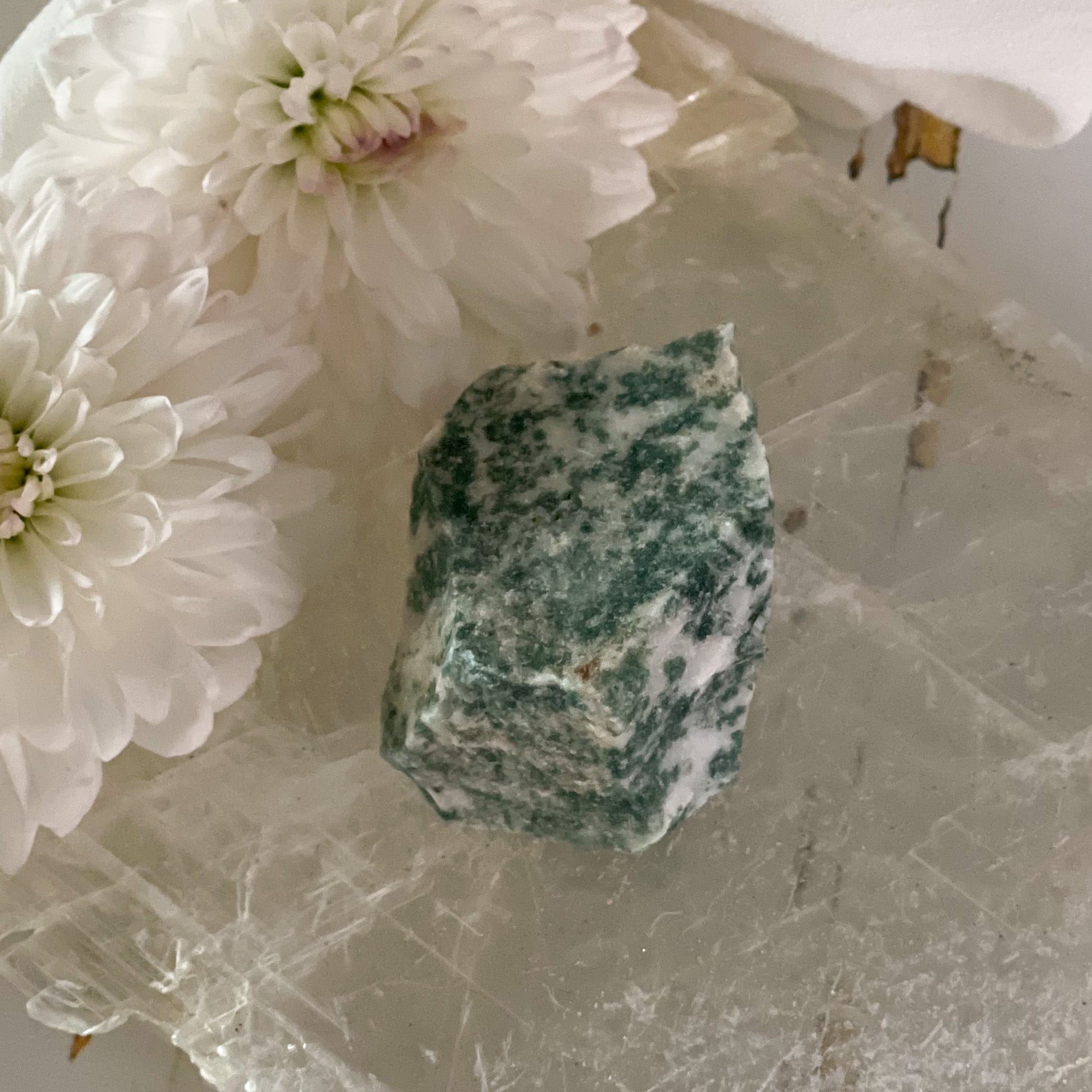 Raw Tree Agate #398-Happily Zen
