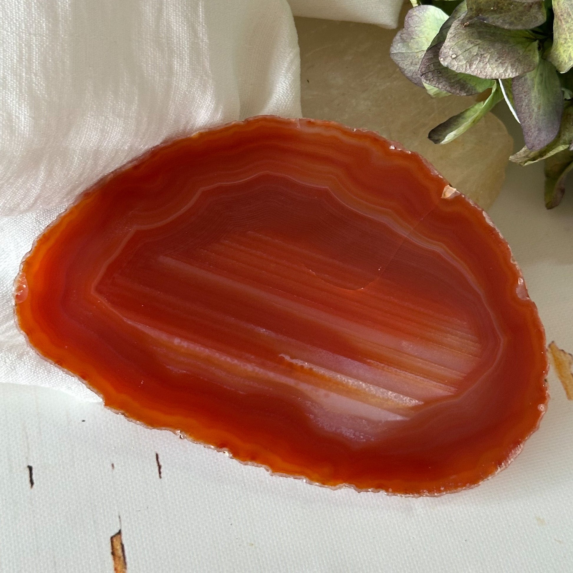 Red Agate Slice #897-Happily Zen