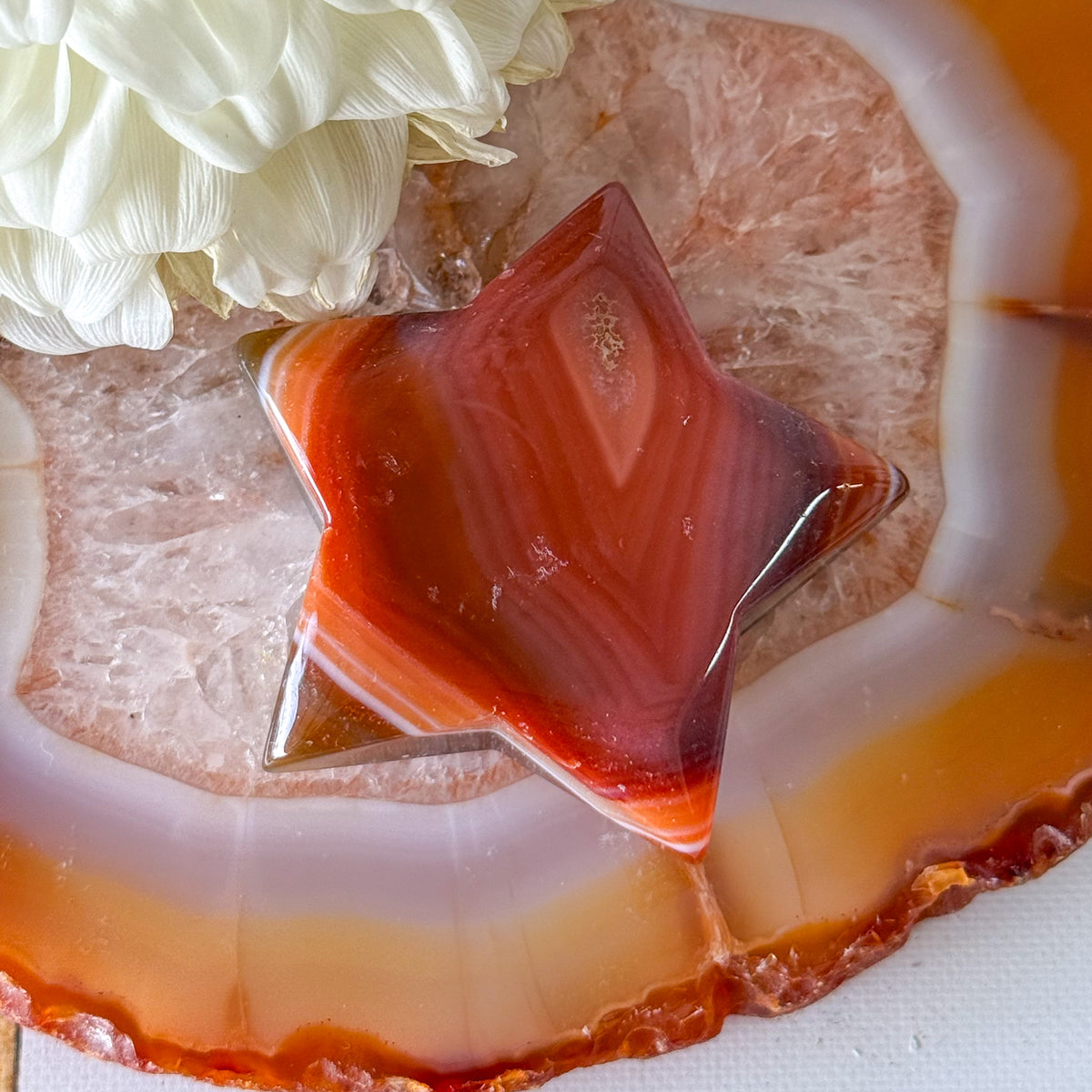 Red Agate Star #1191-Happily Zen