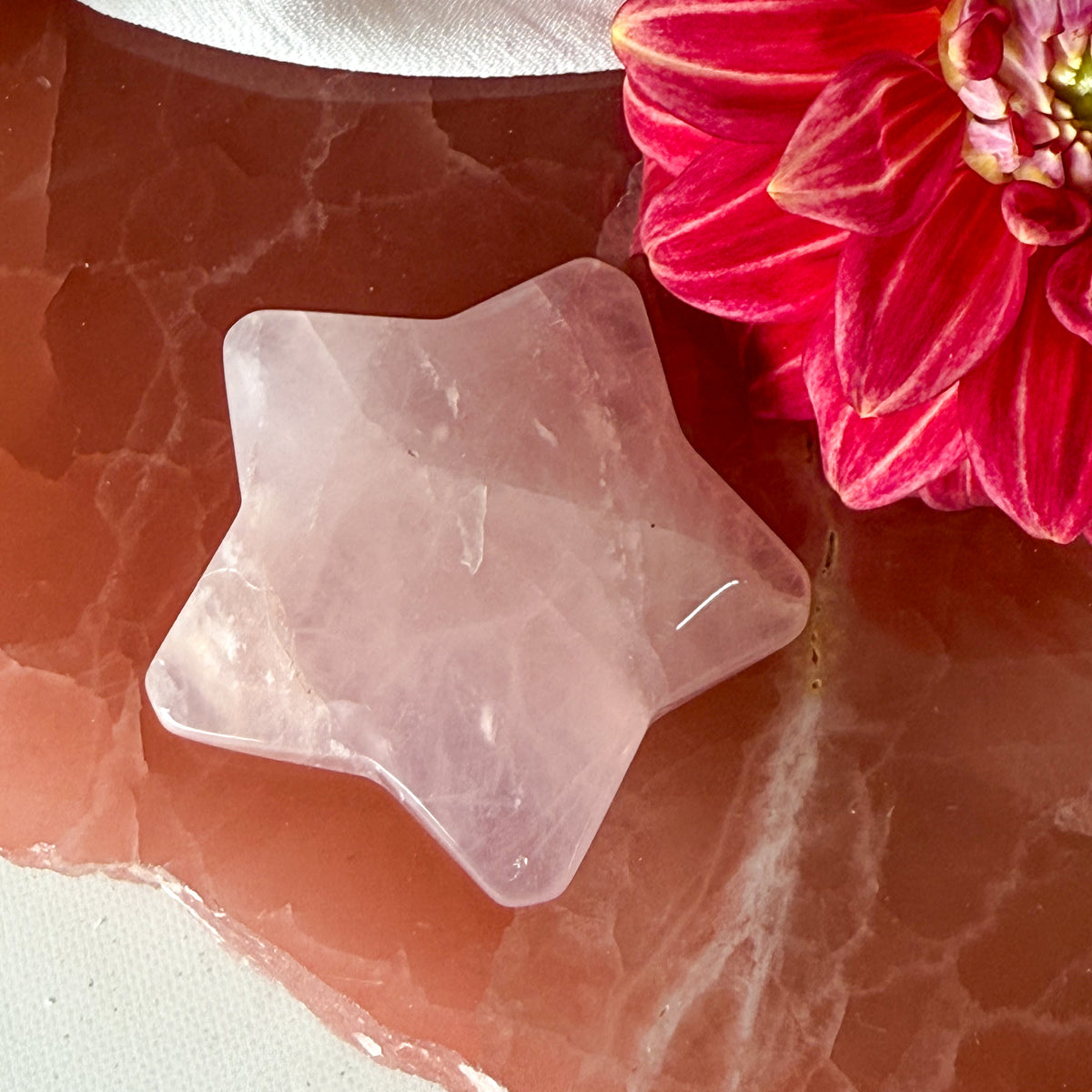 Rose Quartz Star #1116-Happily Zen