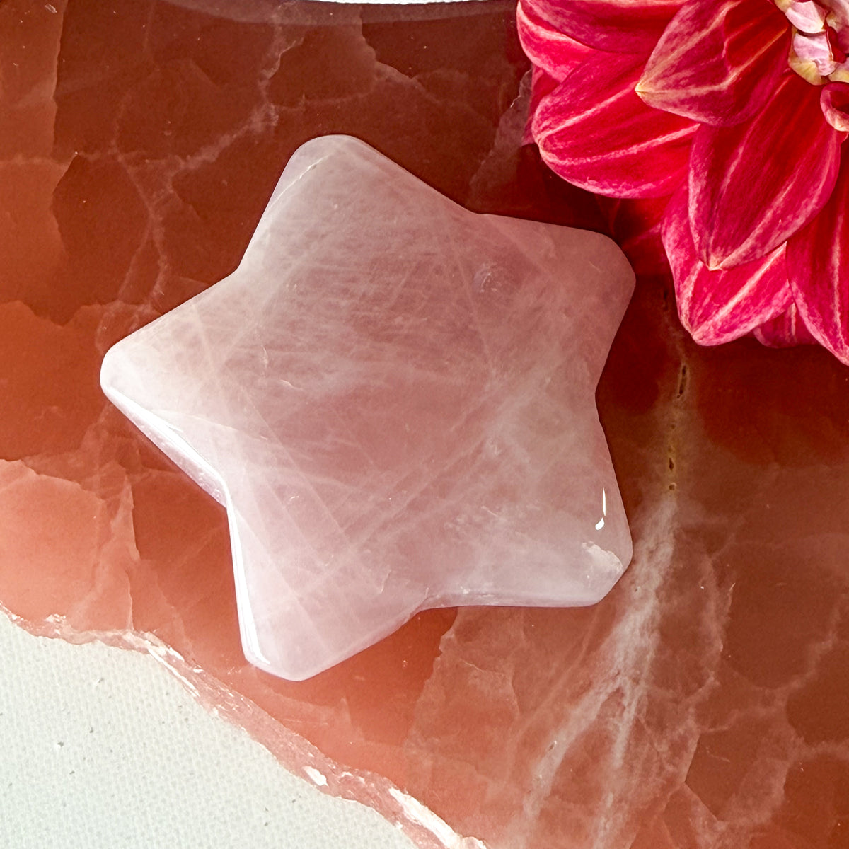 Rose Quartz Star #1117-Happily Zen