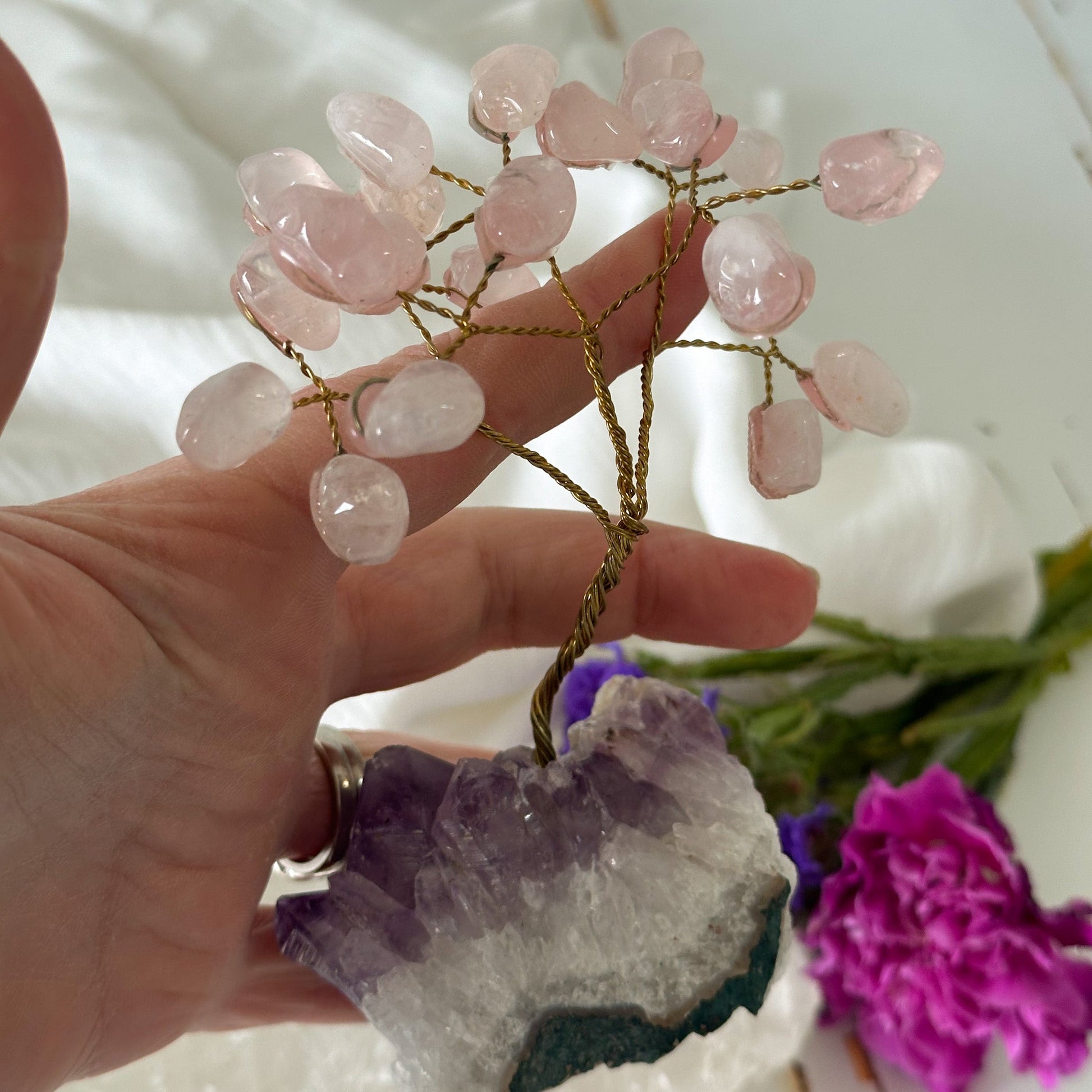 Rose Quartz Tree on Amethyst Base #754-Happily Zen