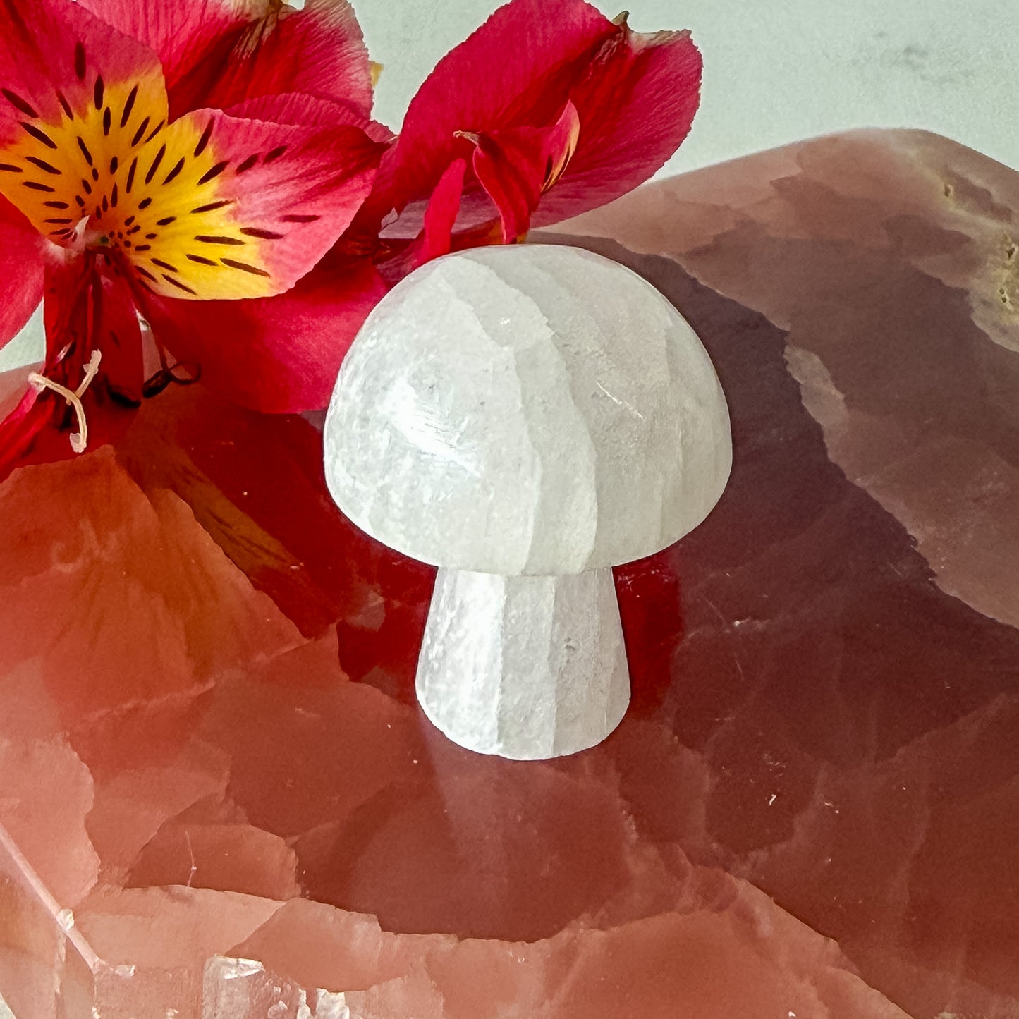 Selenite Mushroom #1392-Happily Zen