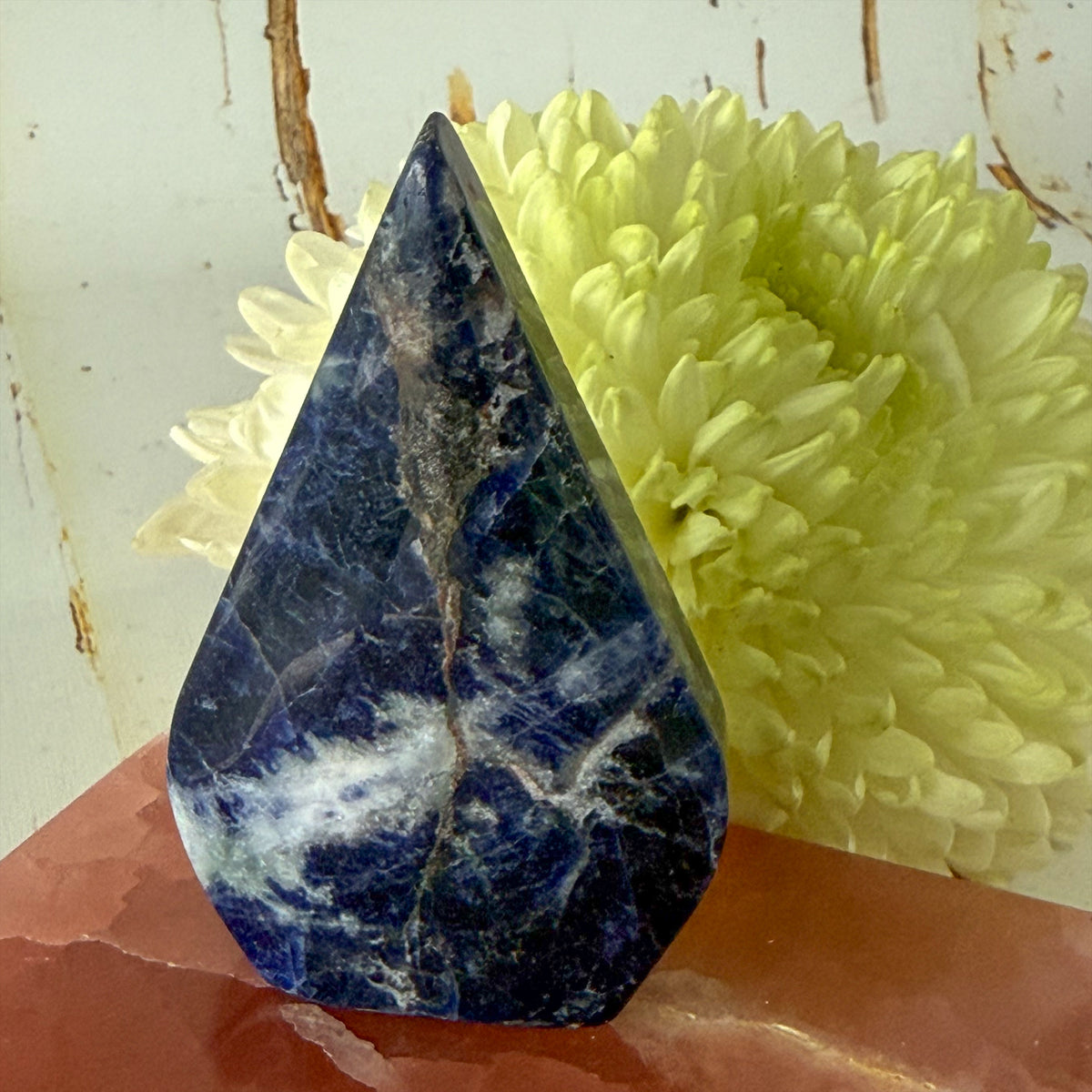 Sodalite Flame #1426-Happily Zen