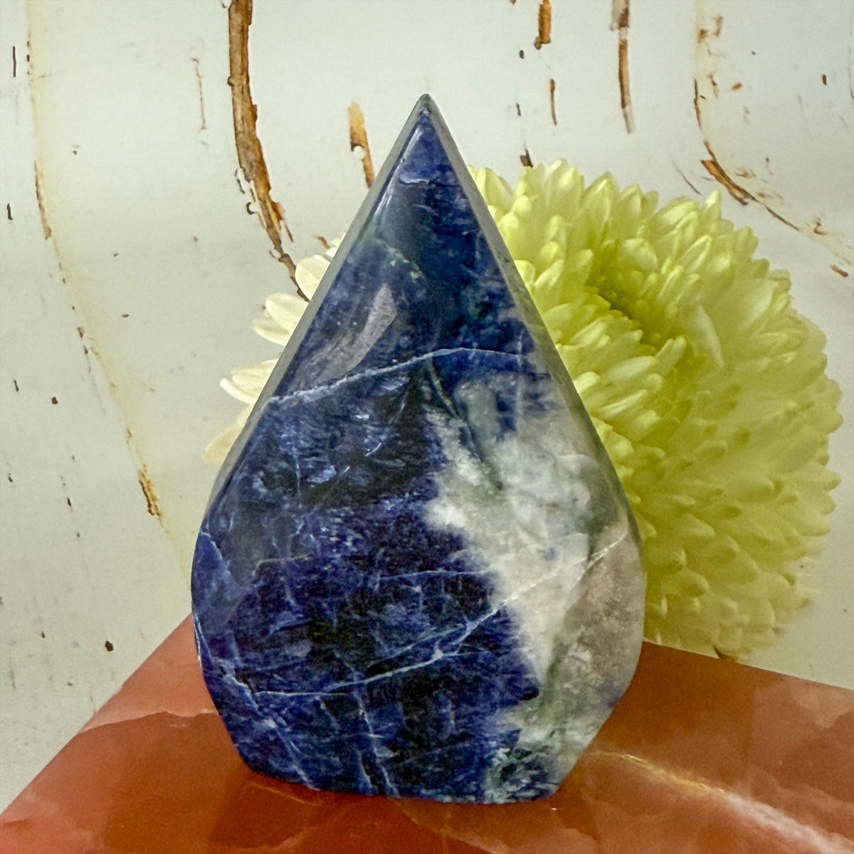 Sodalite Flame #1428-Happily Zen