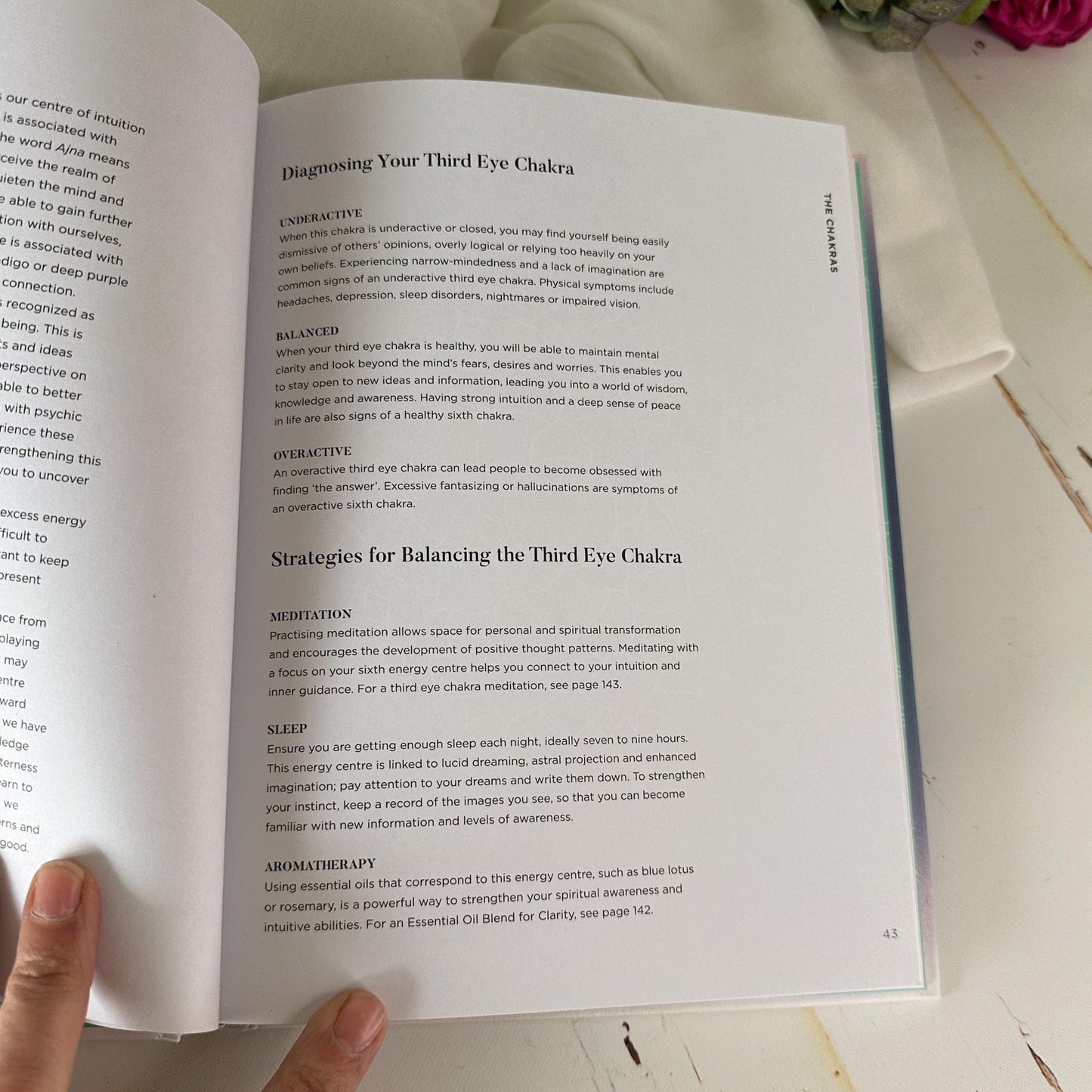 The Chakra Fix -A Modern Guide to Cleansing Balancing and Healing #732-Happily Zen