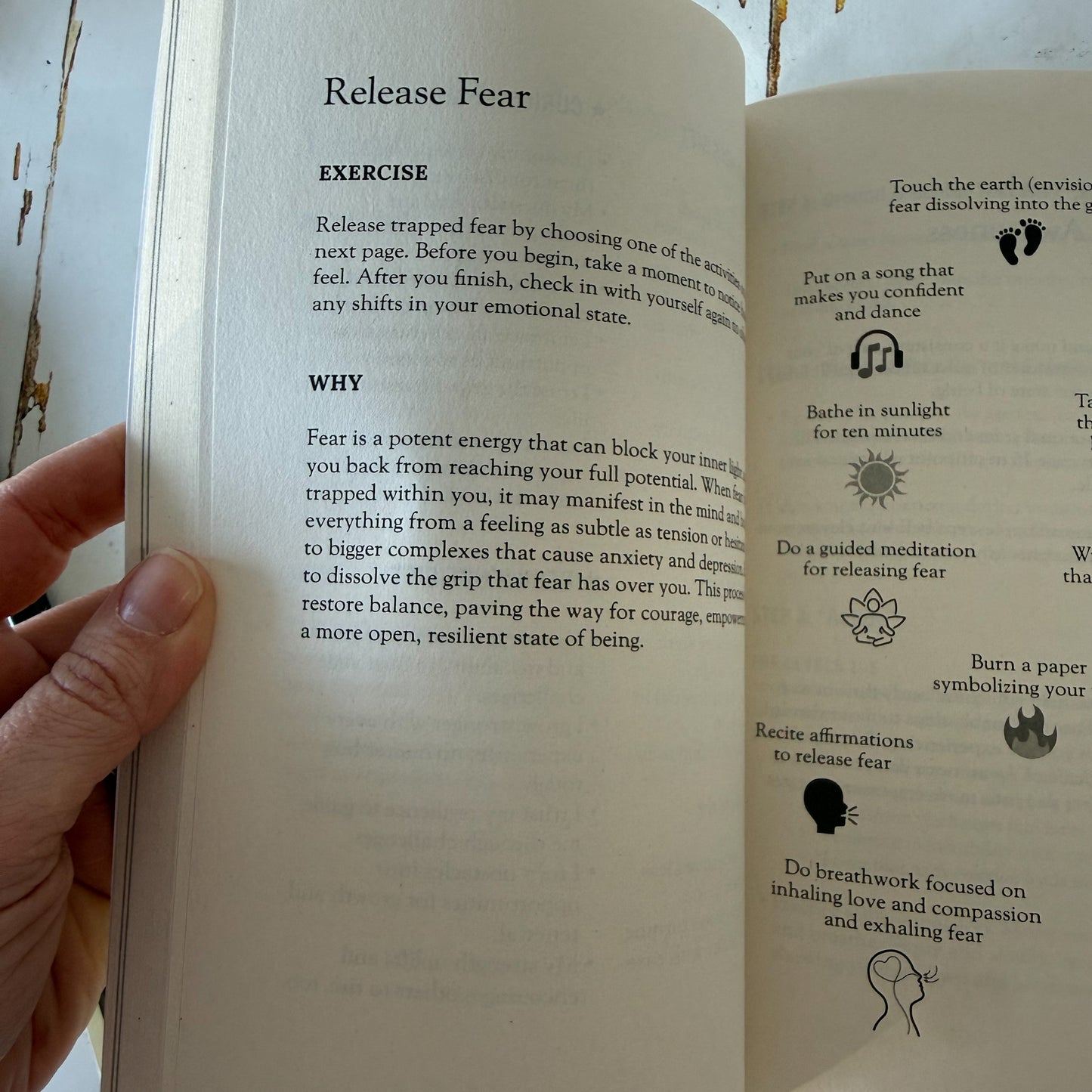 The Light Work Journal #1449-Happily Zen