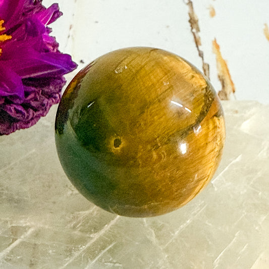 Tigers Eye Sphere #1303-Happily Zen