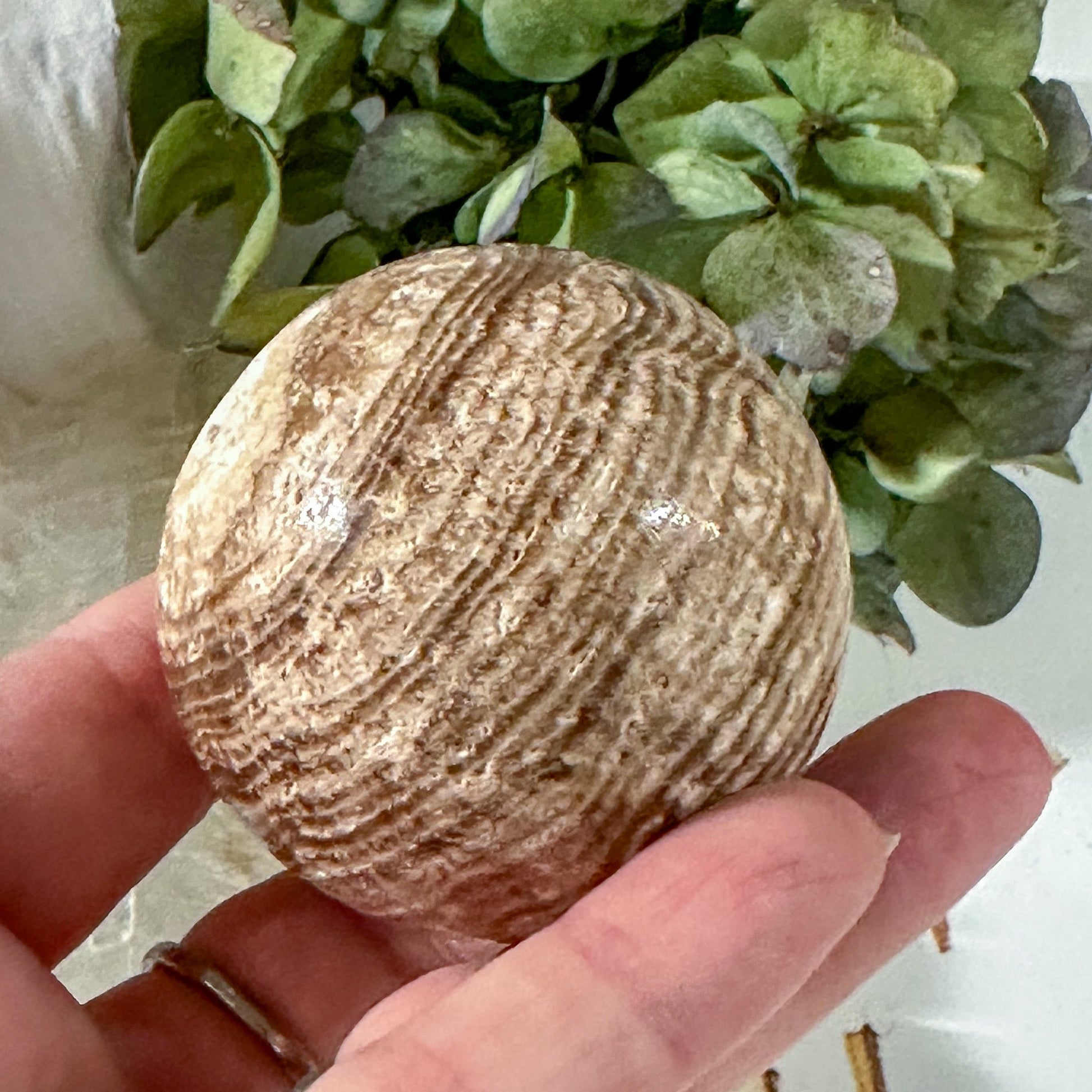 Travertine Sphere #773-Happily Zen