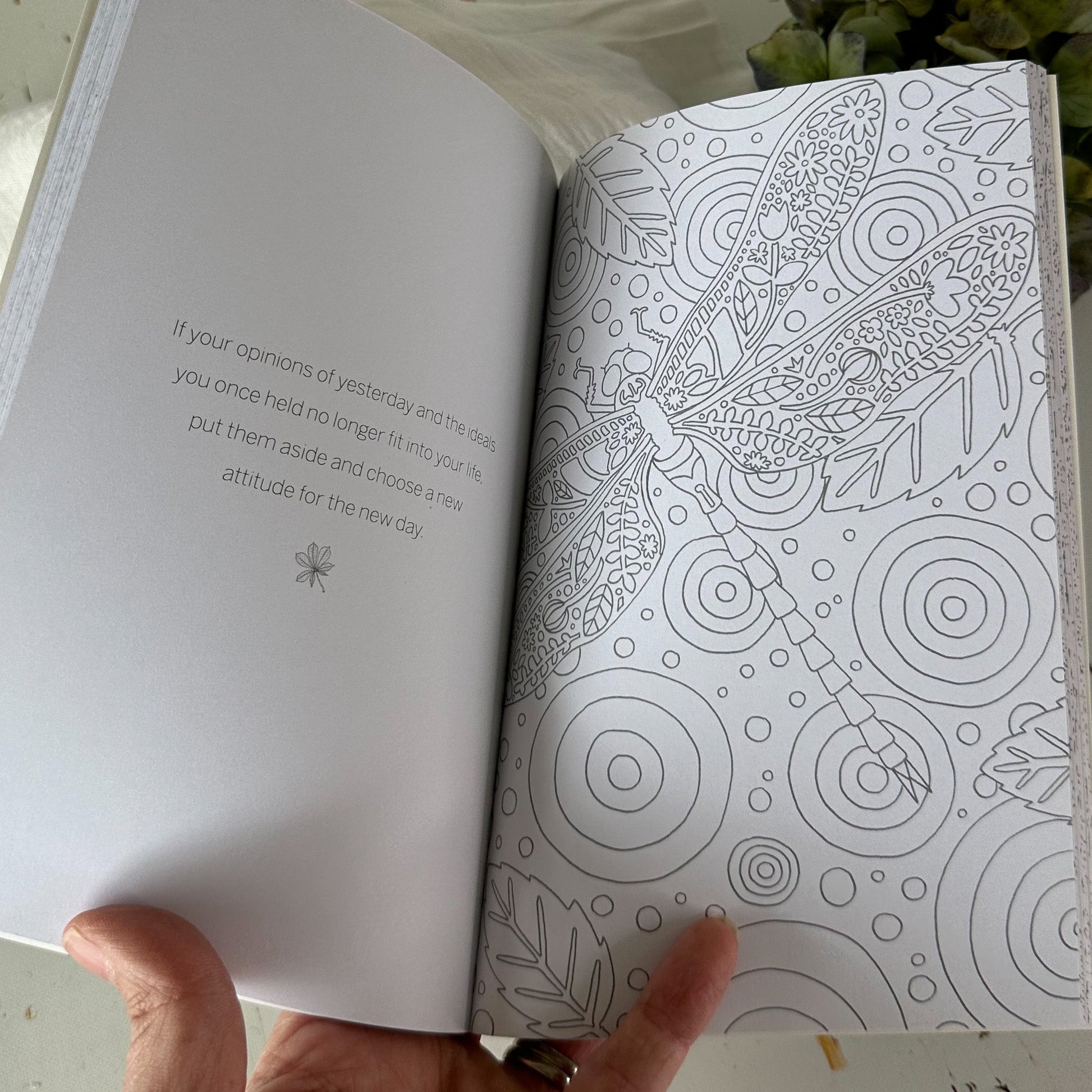 Wild Woodland- The Little Book of Colouring #799-Happily Zen
