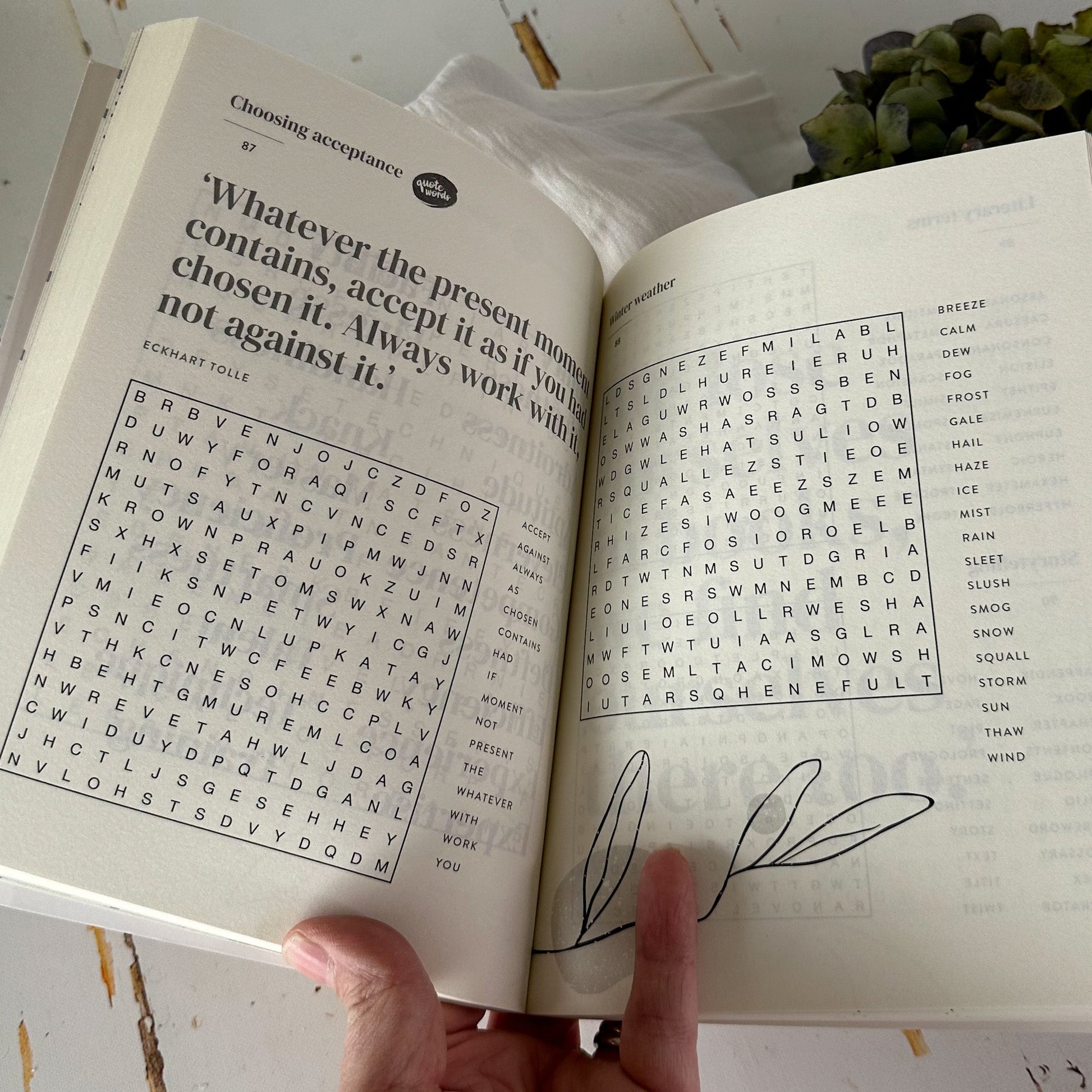 Wordsearch your Worries Away #797-Happily Zen